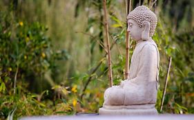 Secret Garden Retreats